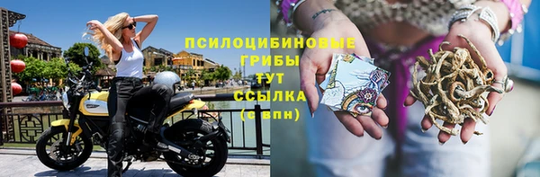 ALPHA-PVP Карпинск