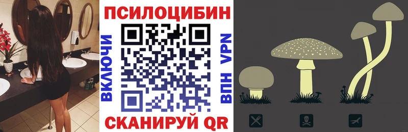 Псилоцибиновые грибы Magic Shrooms  магазин    Тетюши 